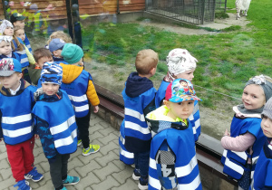 Dzieci obserwują tygrysy białe